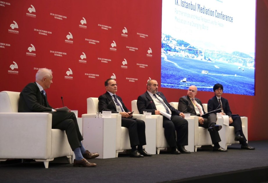 Gürcüstan XİN başçısının müavini Orta Dəhlizin artan rolundan danışıb
