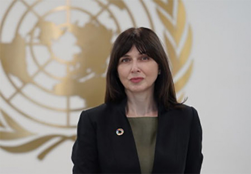 BMT-nin Azərbaycanda yeni rezident əlaqələndiricisi təyin olunub - Vimarsana News
